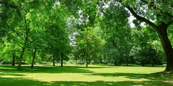 Bericht Biodiversiteit in Burgemeester Damenpark bekijken